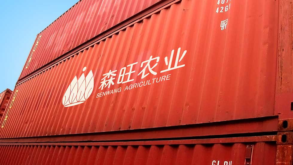 武漢vi設(shè)計公司